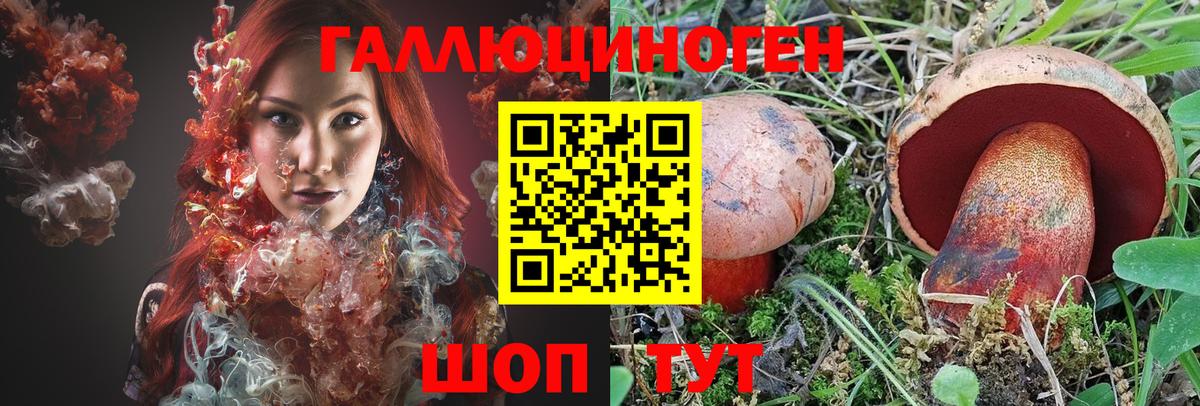 Галлюциногенные грибы Psilocybine cubensis Сочи