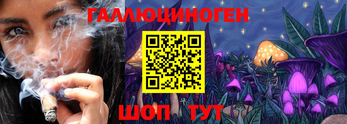 Сочи  сколько стоит  Вход с VPN  Псилоцибиновые грибы MAGIC MUSHROOMS 
